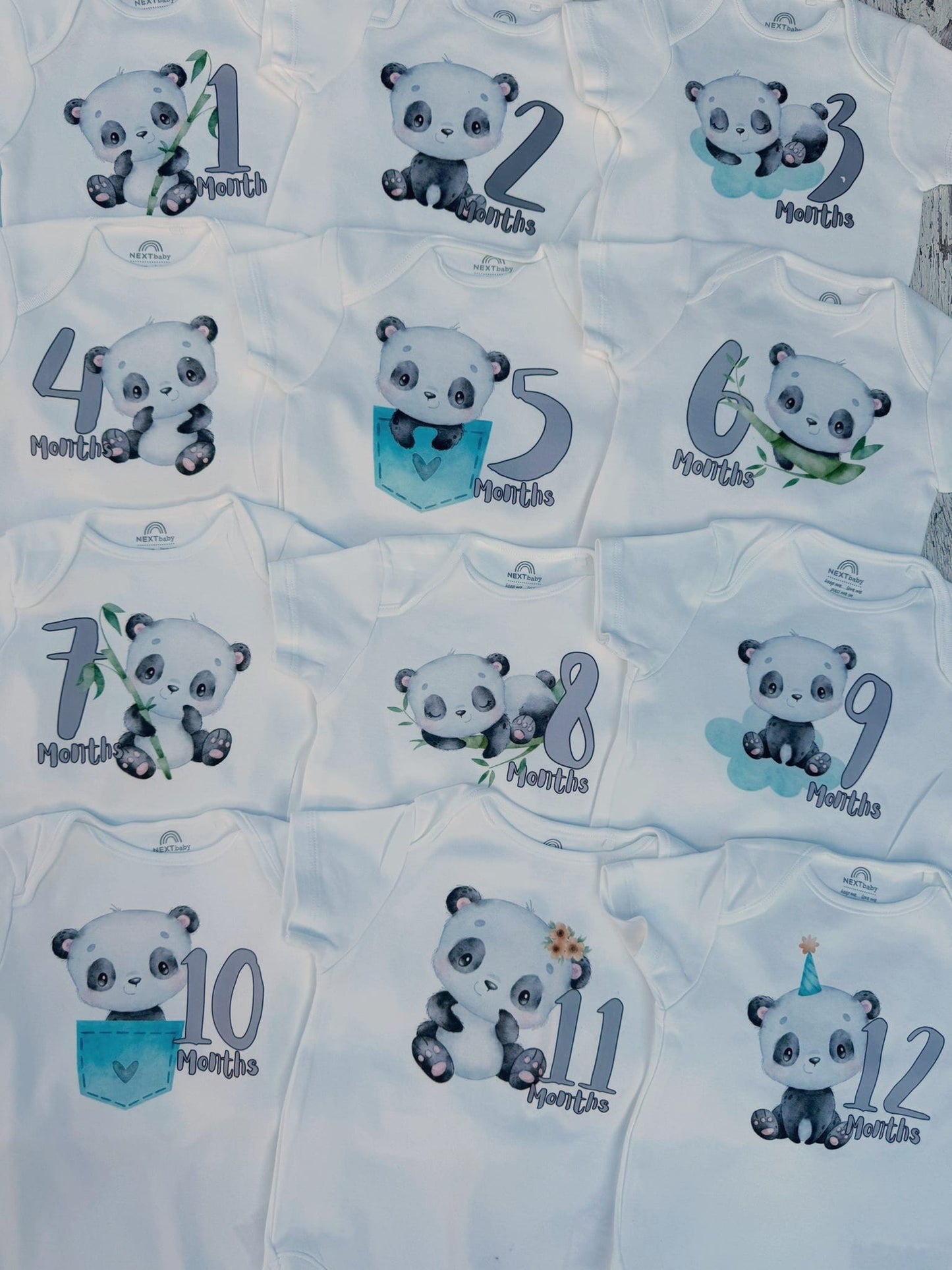 ערכת צילומים חודשיים פנדה שובבה