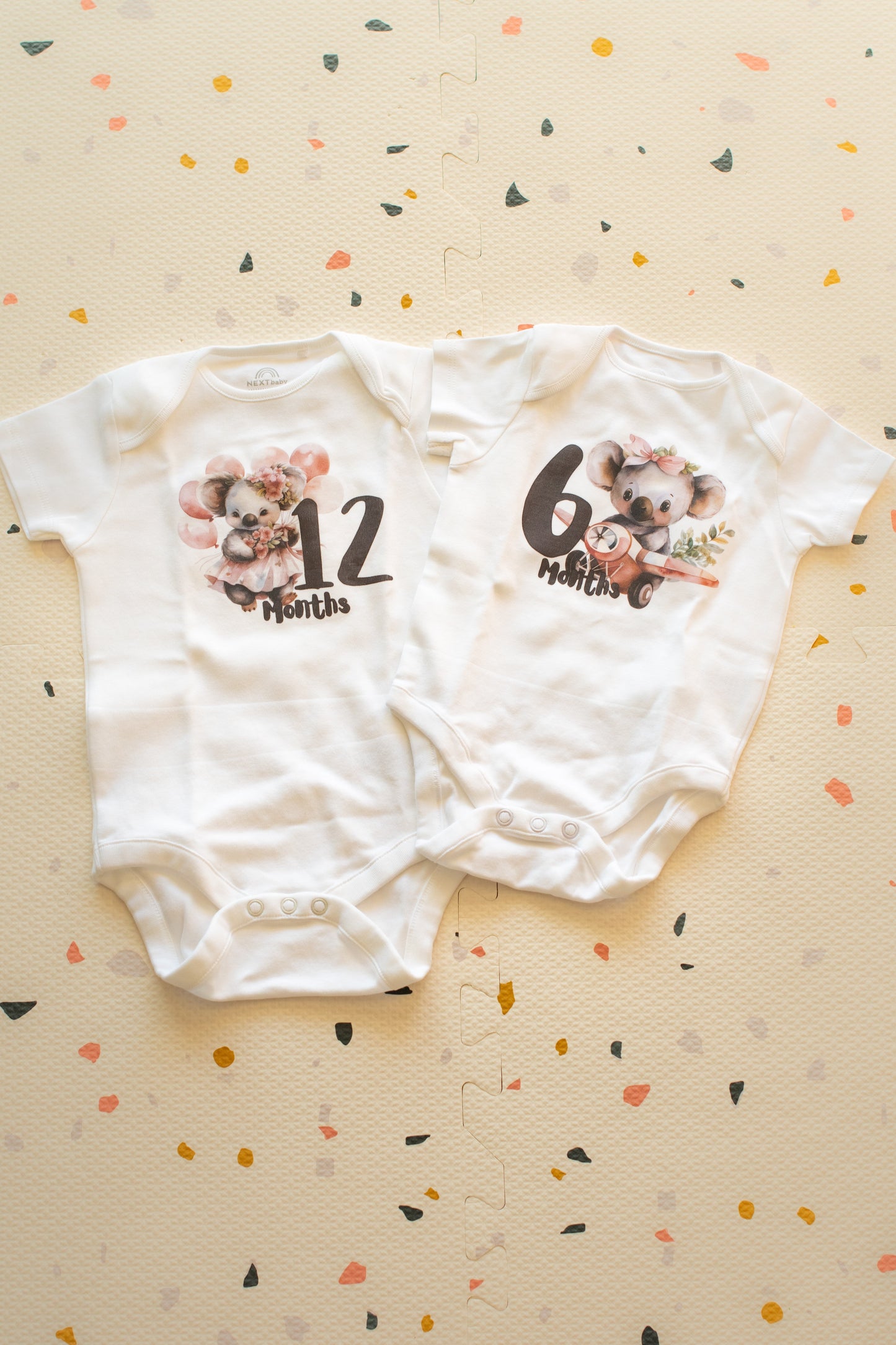 ערכת צילומים לייט קואלה חולמנית