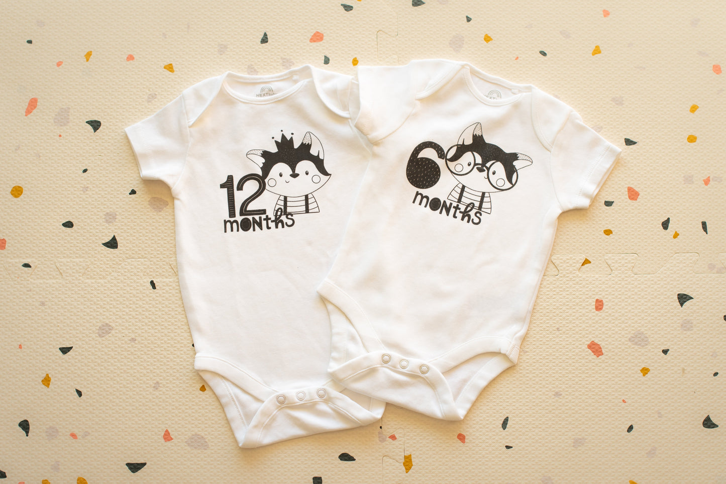 ערכת צילומים לייט היער הקסום