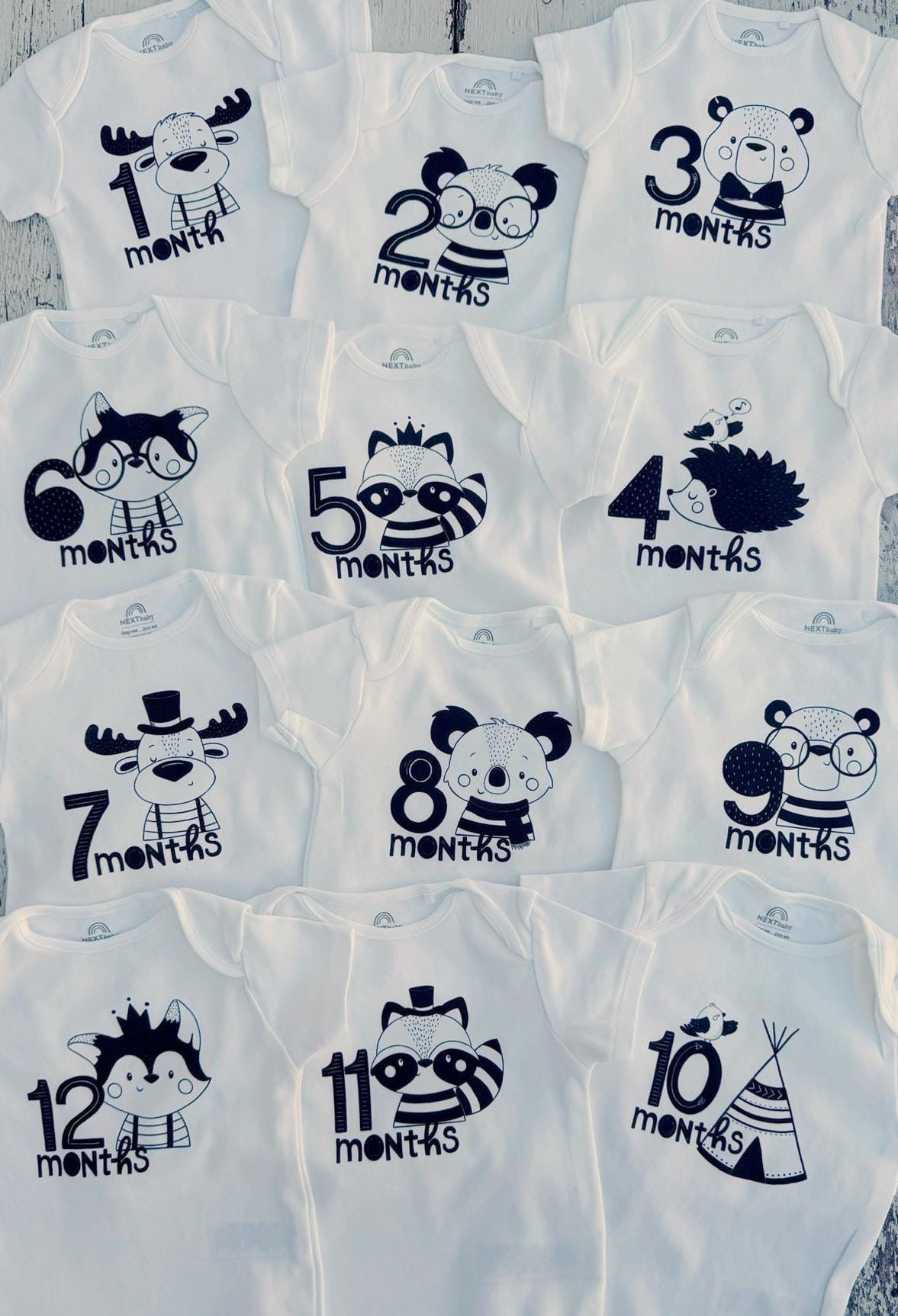 ערכת צילומים חודשיים היער הקסום