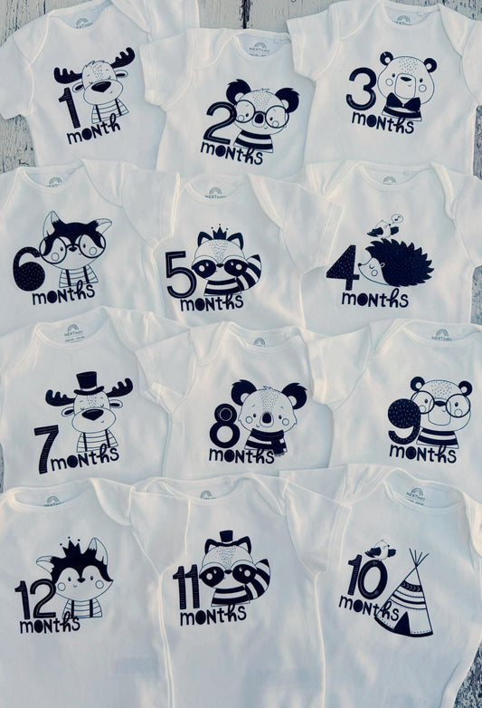 ערכת צילומים חודשיים היער הקסום