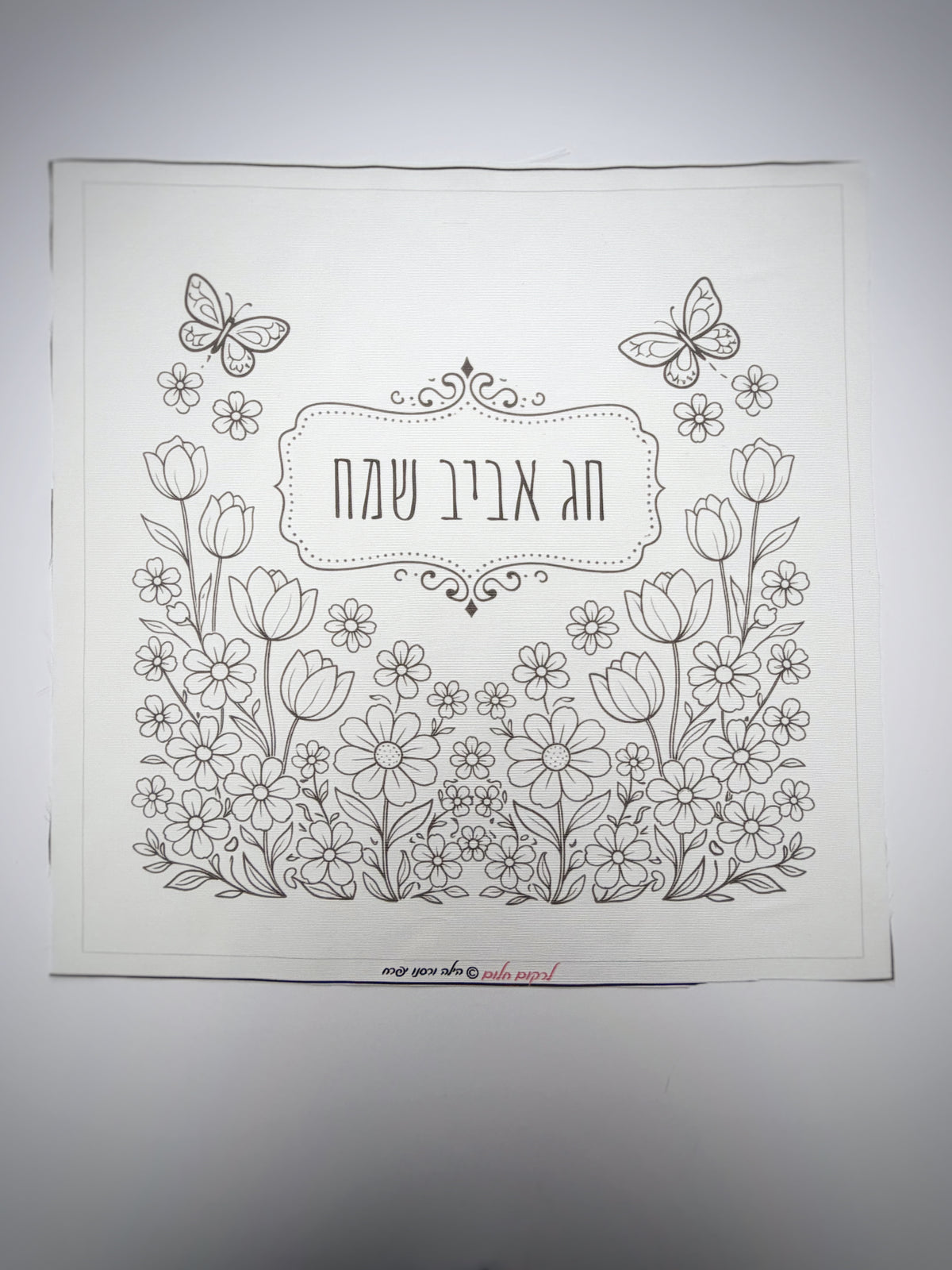 כיסוי מצות אביבי