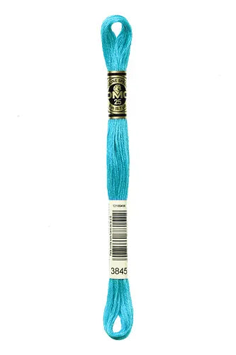 חוט רקמה DMC Mouline - 3845