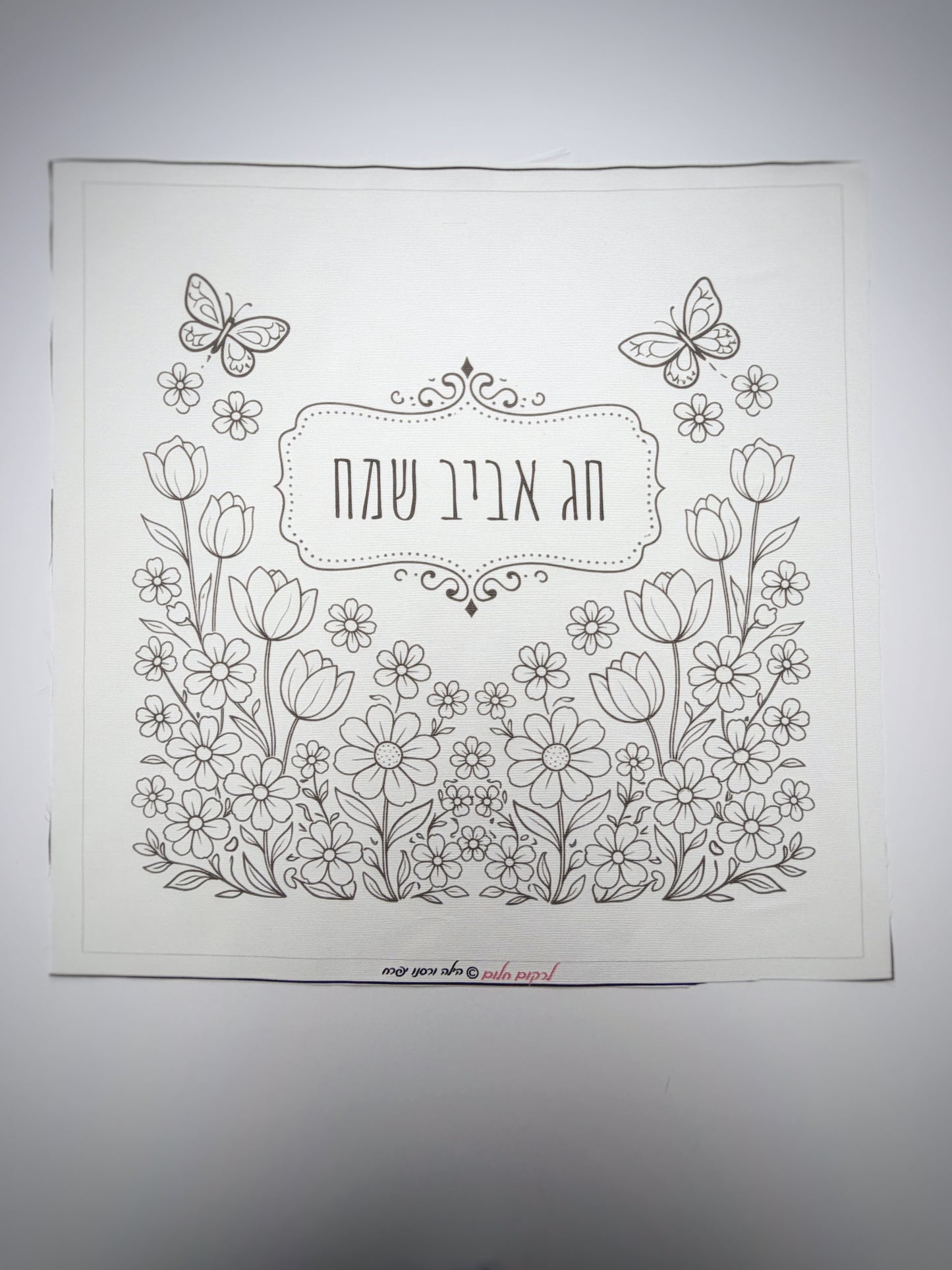 כיסוי מצות אביבי