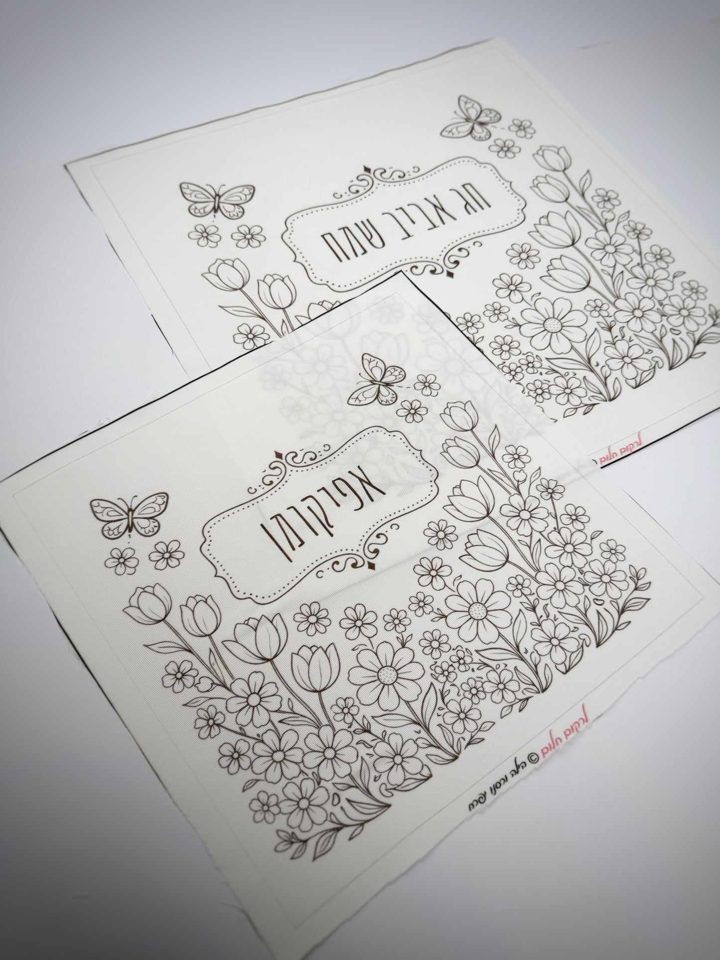 כיסוי אפיקומן אביבי