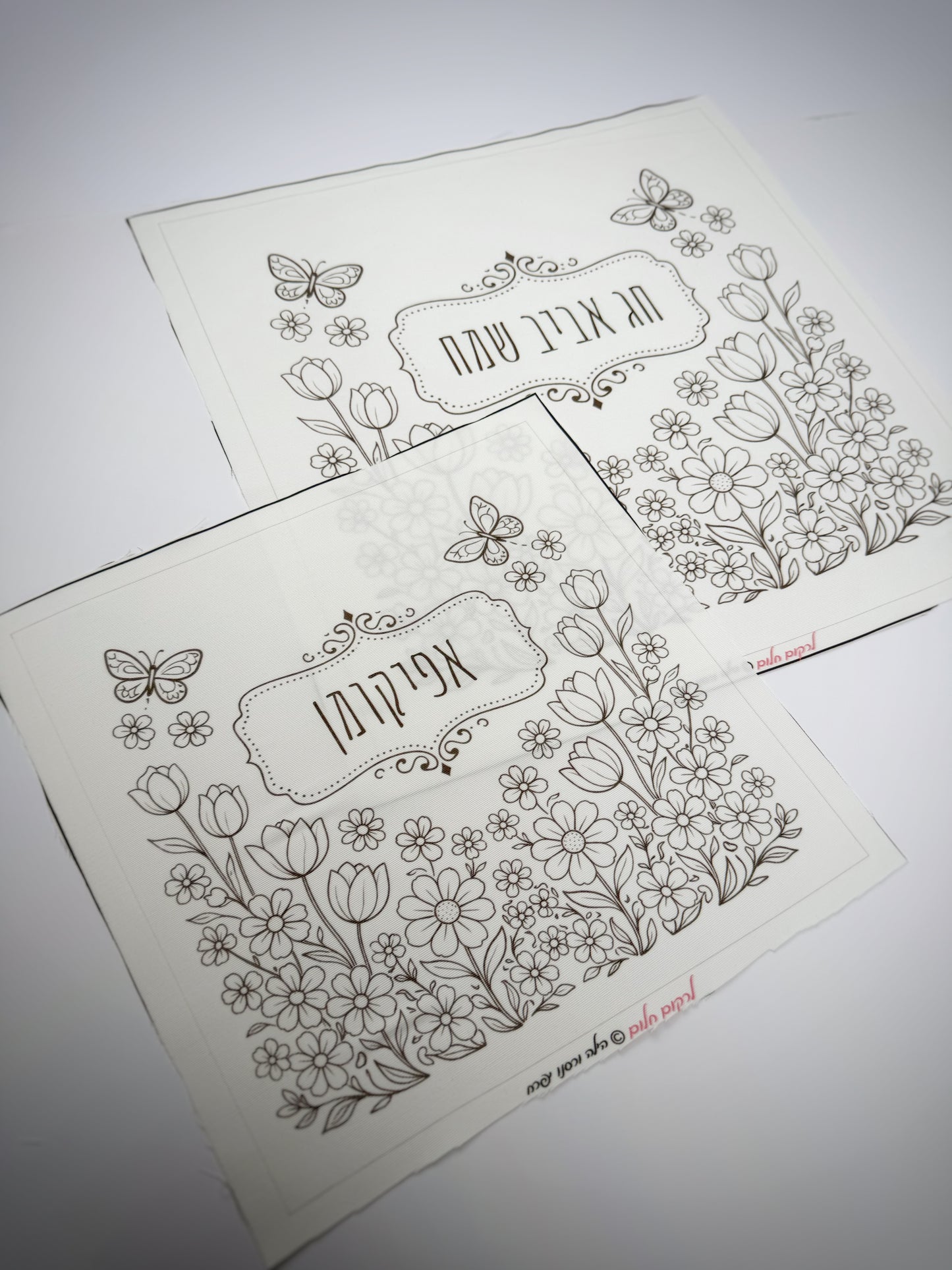 כיסוי מצות אביבי