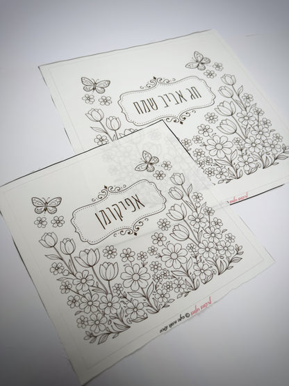 כיסוי מצות אביבי